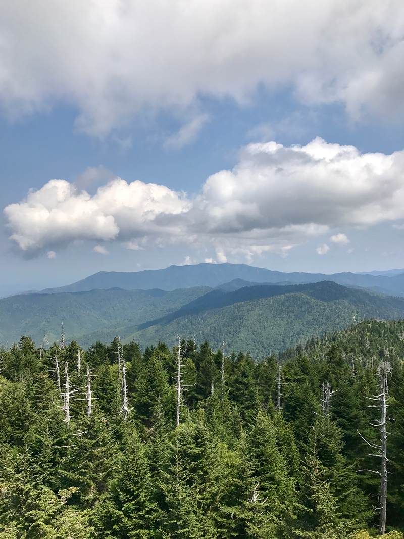 Illustration for article titled Clingmans Dome. Highest point in the Smokies.